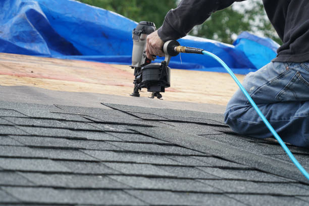 Best Roof Moss and Algae Removal  in Palos Verdes Estates, CA