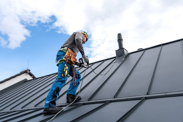Best Roof Maintenance and Cleaning  in Palos Verdes Estates, CA